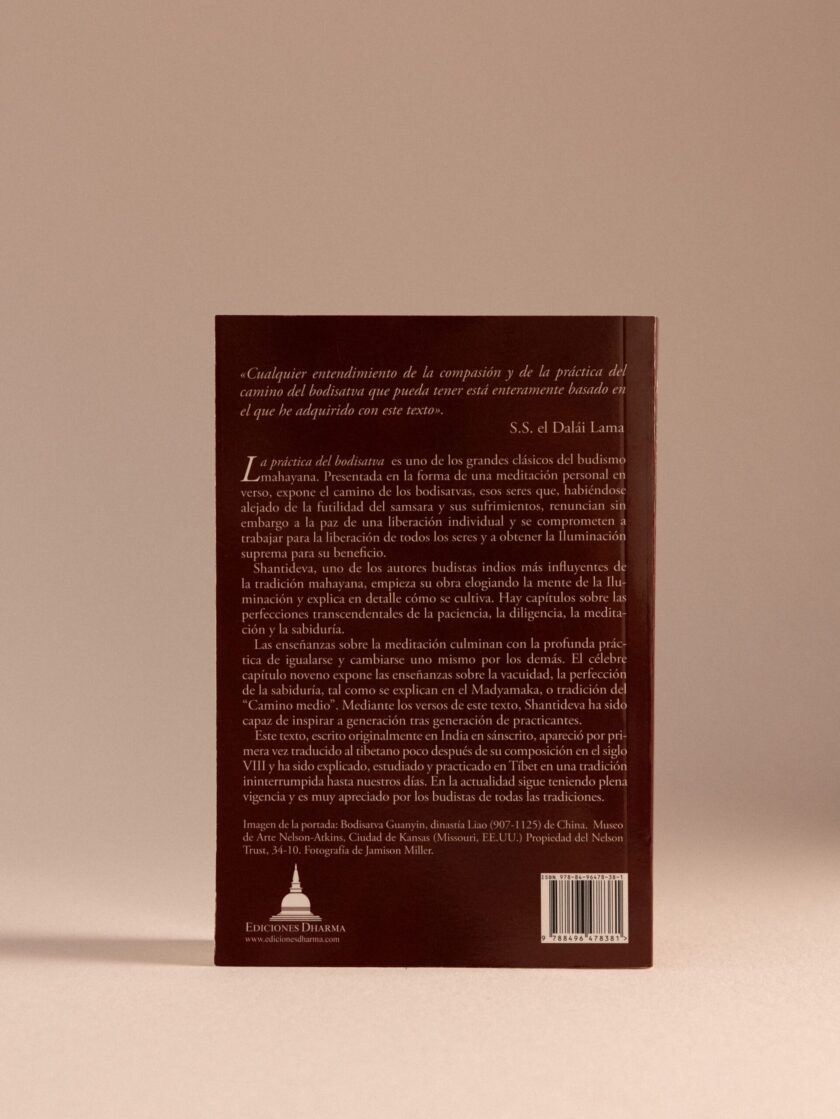 La práctica del bodisatva - Imagen 2