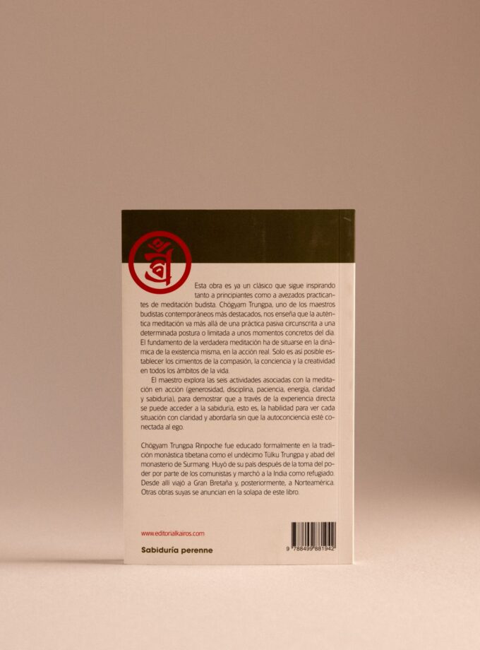 Meditación en la acción